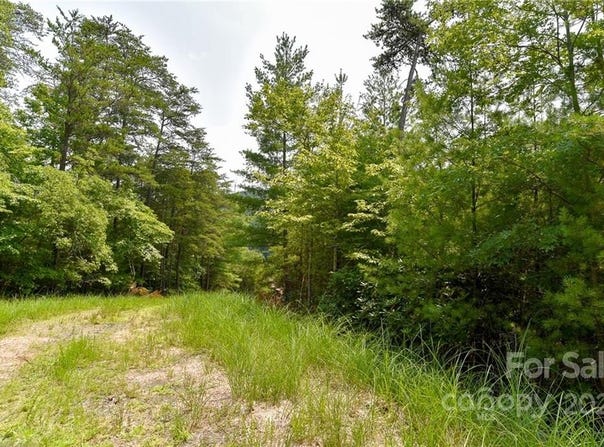 The Vines Boulevard lot: 22, Marshall, NC 28753