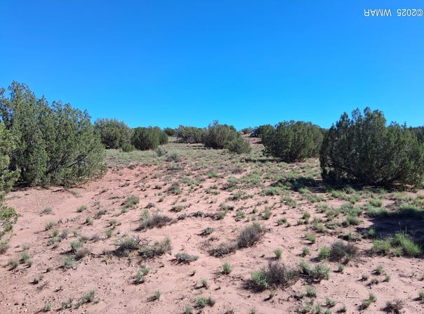 SW236 N9233, Concho, AZ 85924
