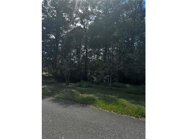 7 Beckham Court, Mount Vernon, AL 36560