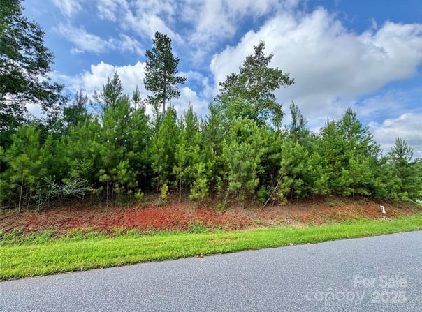 2039 Lake Vista Drive NE unit: 38, Connelly Springs, NC 28612