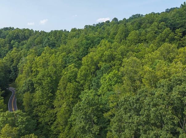 TBD Brushy Mtn Rd, Moravian Falls, NC 27519