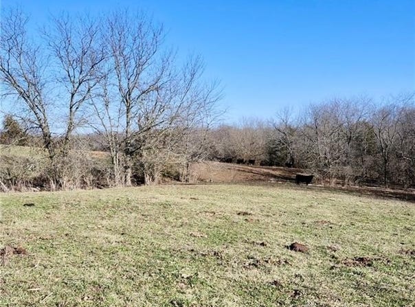 1125 S Van Dyke Road, Buckner, MO 64016