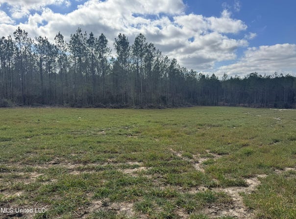 Smiley Honea Road, Magnolia, MS 39652