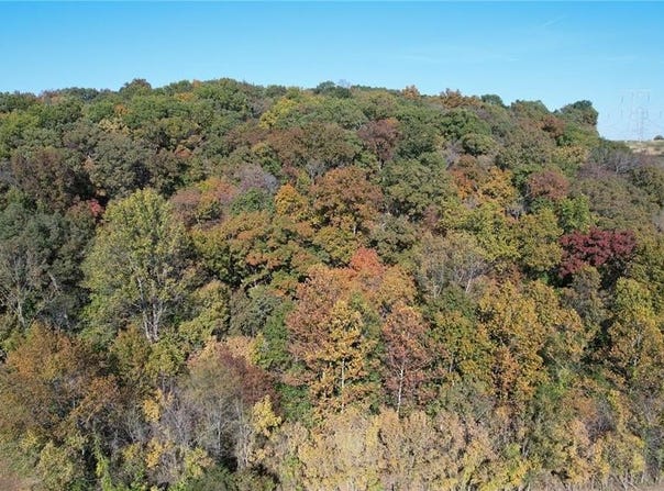 1318 Pond Road, Glencoe, MO 63038