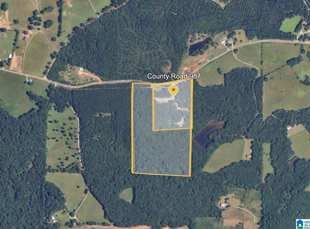 0 COUNTY ROAD 46, MONTEVALLO, AL 35115