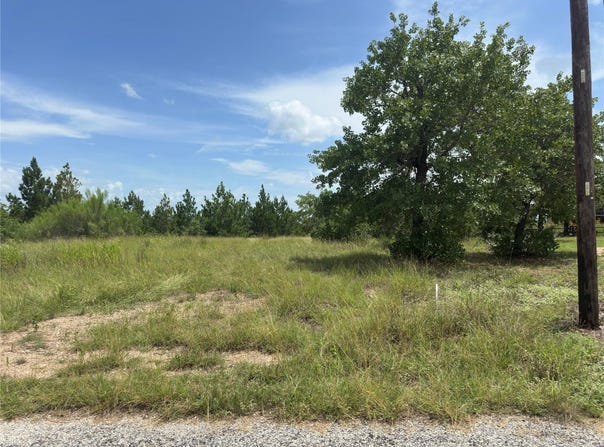 141 Tall Forest DR, Bastrop, TX 78602