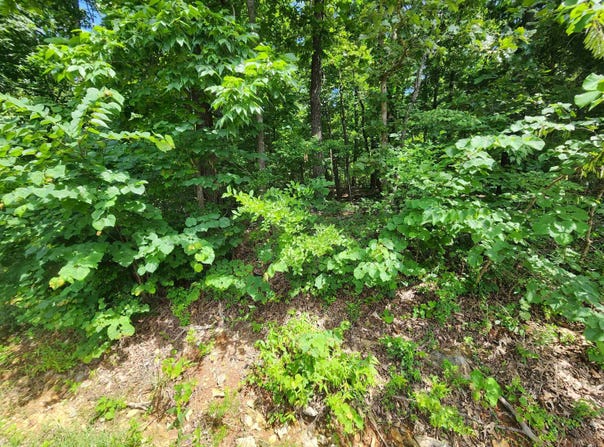 L37B12 N lakeshore Circle, Cherokee Village, AR 72529