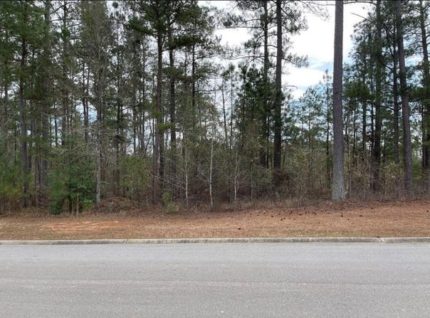 N-53 Eutaw Springs Trail, North Augusta, SC 29860