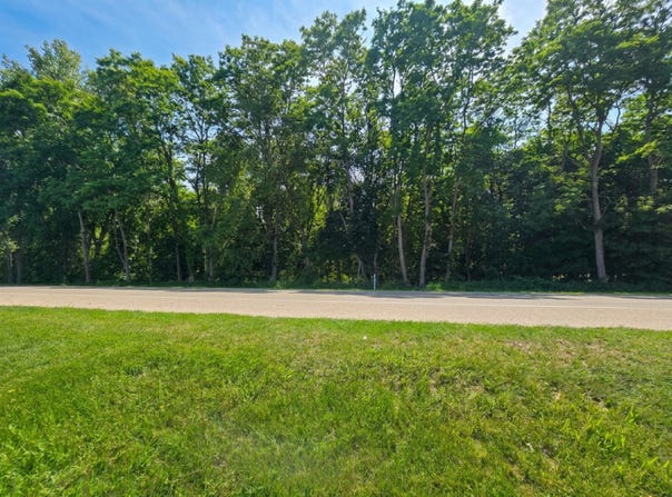 V/L E Washington Street, Greenville, MI 48838