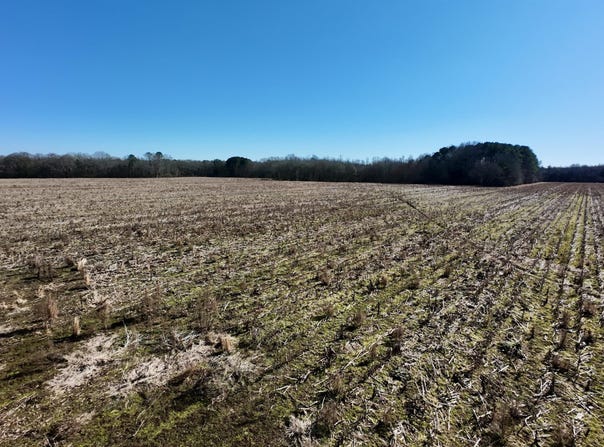 01 E Main Street, Carthage, MS 39051
