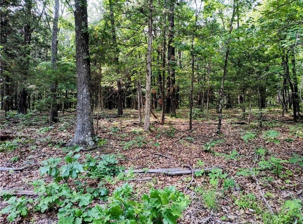 Taylor Barnett  RD, Garfield, AR 72732