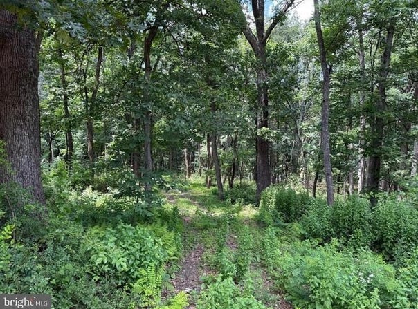 79 CABIN ROAD, AUGUSTA, WV 26704