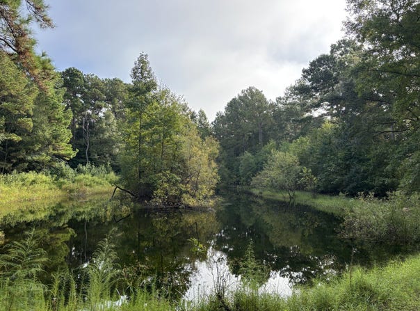 0 Providence Cir, Awendaw, SC 29429