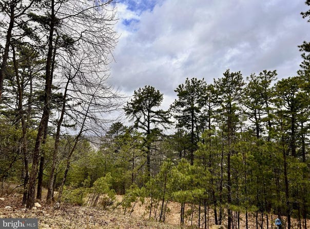 Lot 82 DOE GARDEN DRIVE, YELLOW SPRING, WV 26865