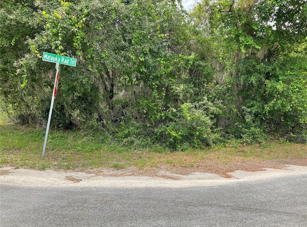 Tbd Lot 59 MALAUKA RADIAL TRAIL, OCKLAWAHA, FL 32179