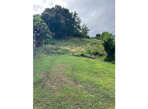 PR-931 Torregrosa, Gurabo, 00778