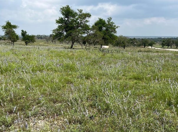 Sweet Wind Ln lot: 8, Harper, TX 78631