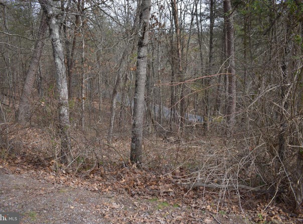 TBD COTTONWOOD RD, MOUNT JACKSON, VA 22842