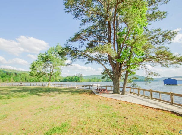 10174 County Road 67, Langston, AL 35755