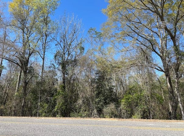 825 Co Rd 2205, GOSHEN, AL 36035