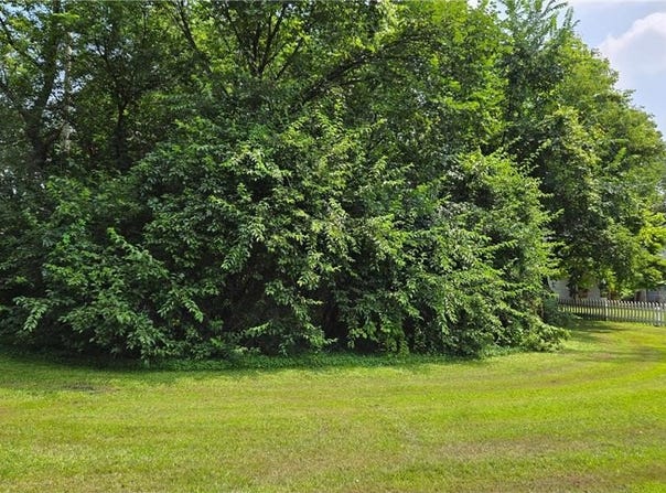 Tbd Bluff Street, Clearwater, MN 55320