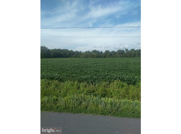 LOT 84 MITCHELL RD, BLOXOM, VA 23308