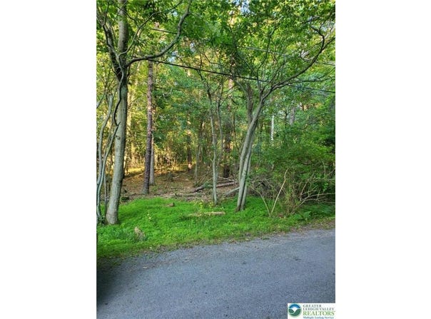 5120 Pine Tr Lane unit: 808,809, Tobyhanna Twp, PA 18346