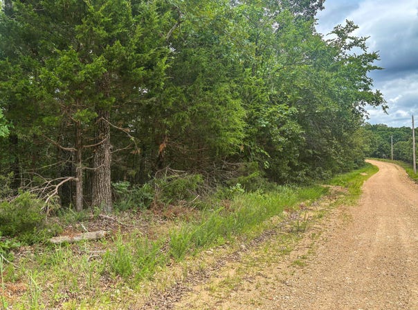 County Road 815, Gainesville, MO 65655