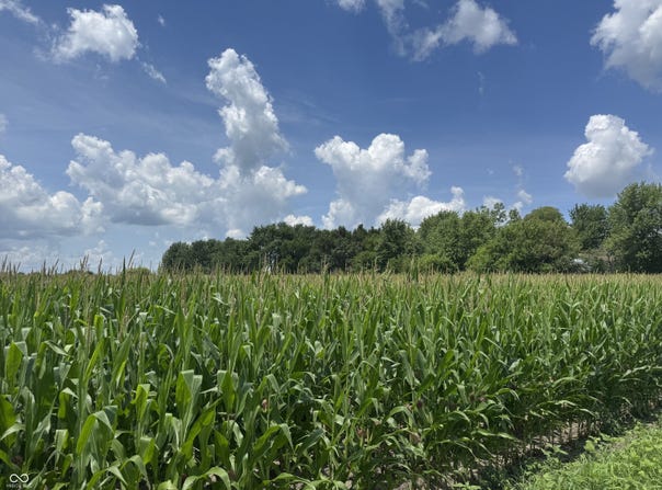 3010 S State Road 39, Lebanon, IN 46052