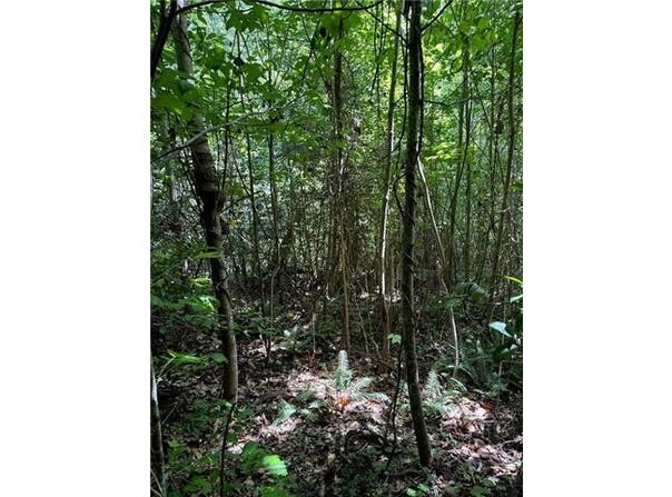 5.2ac Dutton Road, Gloucester, VA 23061