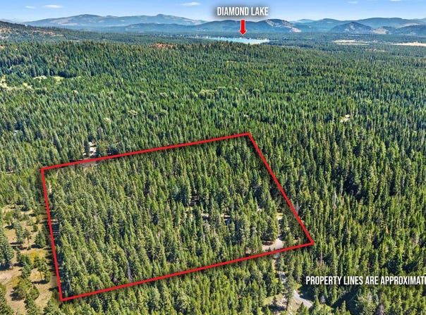 372 Spring Hill Rd, Newport, WA 99156