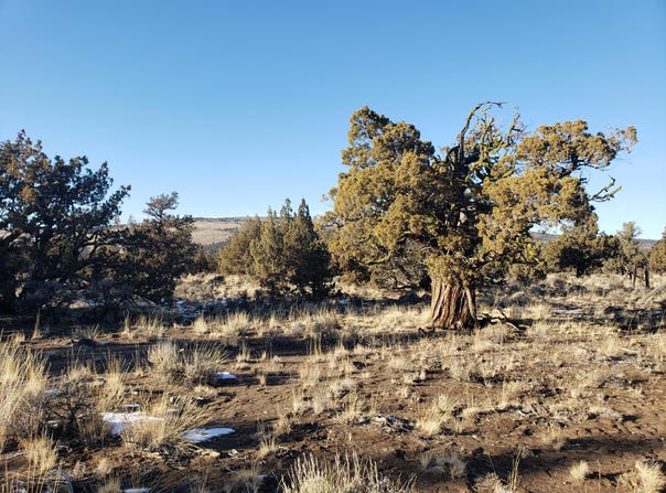 1400 Golden View Ranch, Bend, OR 97701