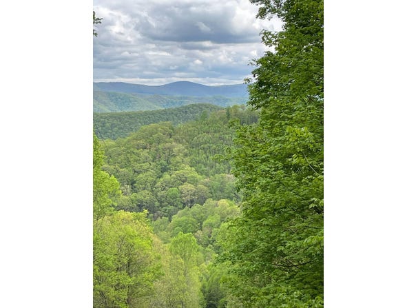 Rt 41 Mill St., Mill Creek, WV 26280