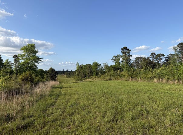 8 Acres Hwy 48 E, Sandy Hook, MS 39478