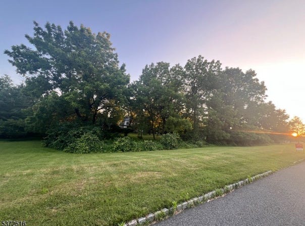 24 Liberty Corner Rd, Warren Twp., NJ 07059