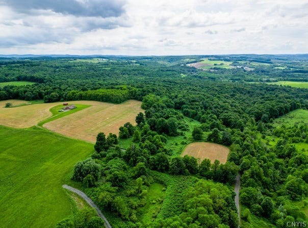 250 Halleneck Rd, Mohawk, NY 13407