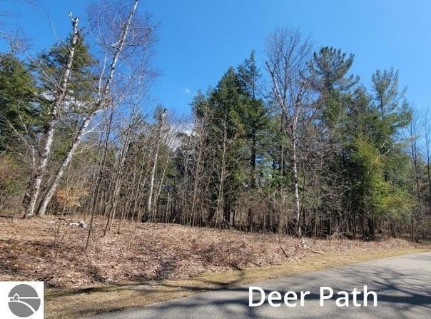 3 Deer Path, Bellaire, MI 49615