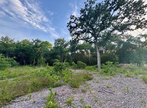 1051 Rose Ct, Nemo, TX 76043