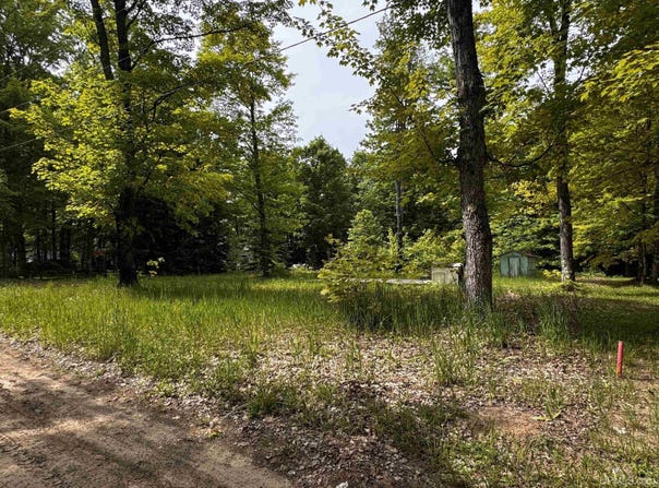 13542 E Campbell, Shingleton, MI 49884