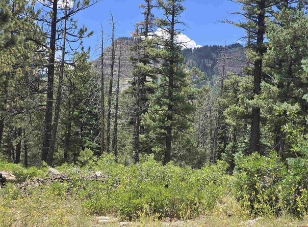 67 Big Pine Trail, Durango, CO 81301