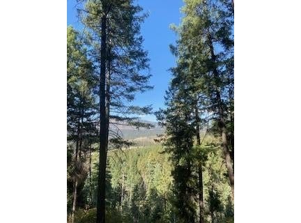 Los Griegos Lot 8-A Road, Jemez Springs, NM 87025