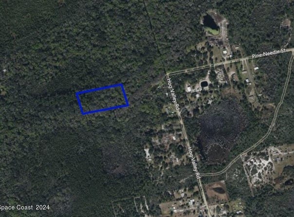 Xxx Pine Needle Street, Mims, FL 32754