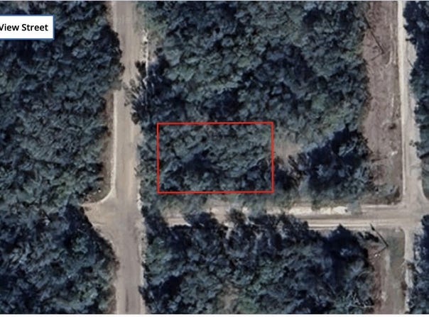 Tbd Annette Avenue, Interlachen, FL 32148