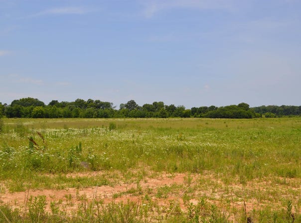 40 Acres, Fisher, AR 72429