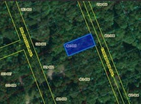 0 Underwood Avenue, Beverly Shores, IN 46301