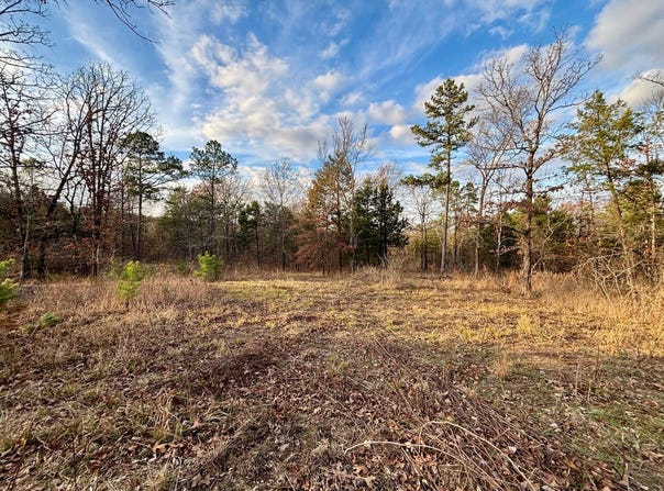 100 White Rd, Heavener, OK 74937