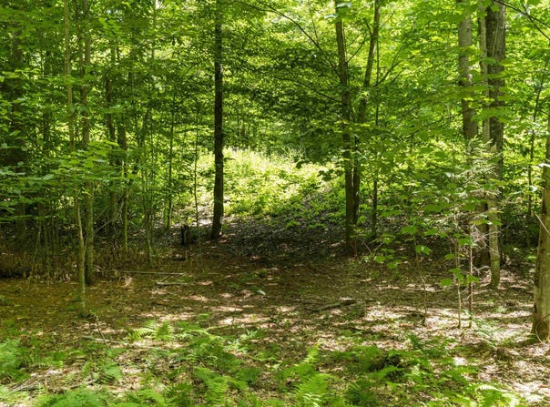 TBD Taylor Road, Duxbury, VT 05660