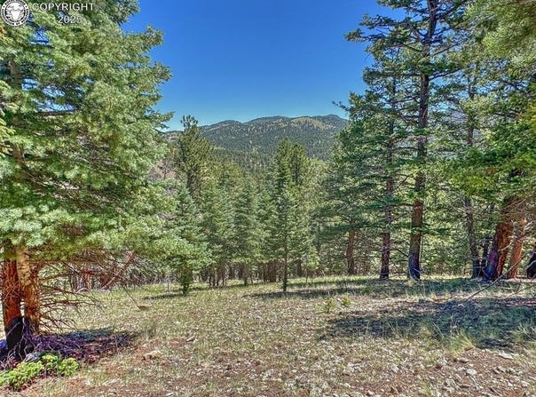 796 N Matterhorn Circle, Westcliffe, CO 81252