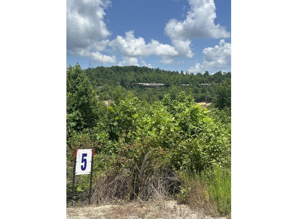 Lot 5 Sleepy Hollow Road, East Bernstadt, KY 40729