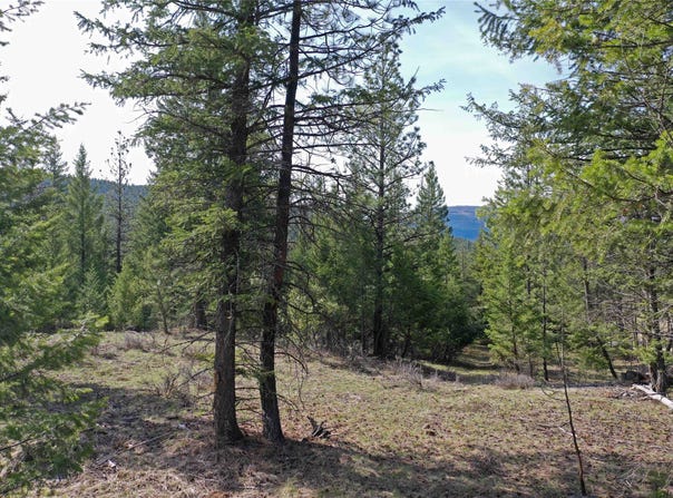 Nhn Brookes Drive, Rexford, MT 59930